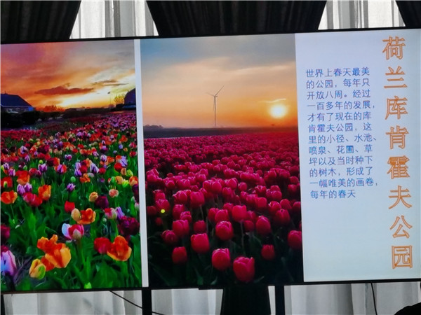 四川中青(qīng)旅绵阳分社独家定(dìng)制圆(yuán)梦欧洲系列 - 大全景 9 国 16 天 德国-法国-瑞士-意(yì)大利-奥(ào)地利-荷兰-比利时-列(liè)支敦士登-卢(lú)森堡(bǎo)